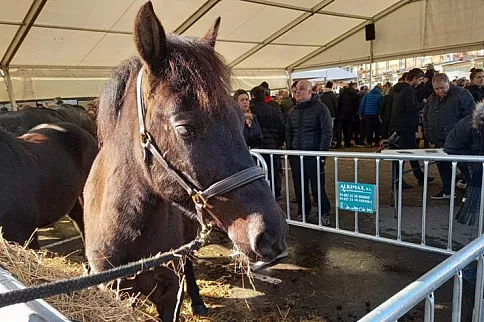 Miles de personas han acudido a la feria de San Blas en Abadiño